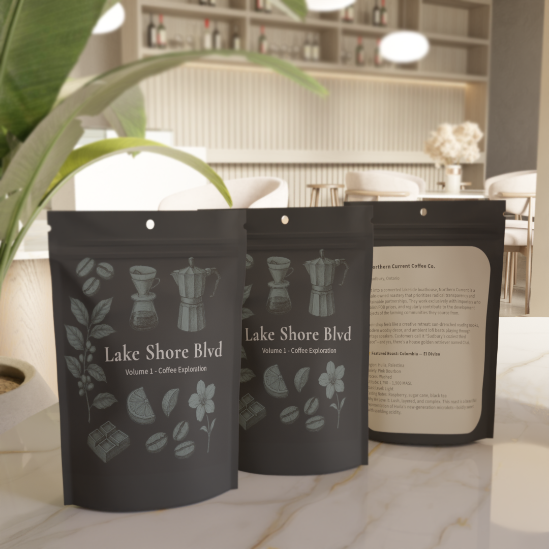 Lake Shore Blvd. Coffee Tasters / Vol. 1 - Coffee Exploration - 3 Pouch Box Set