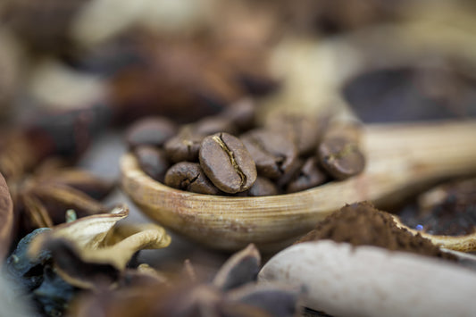 Featured Roast: Ethiopia — Halo Hartume