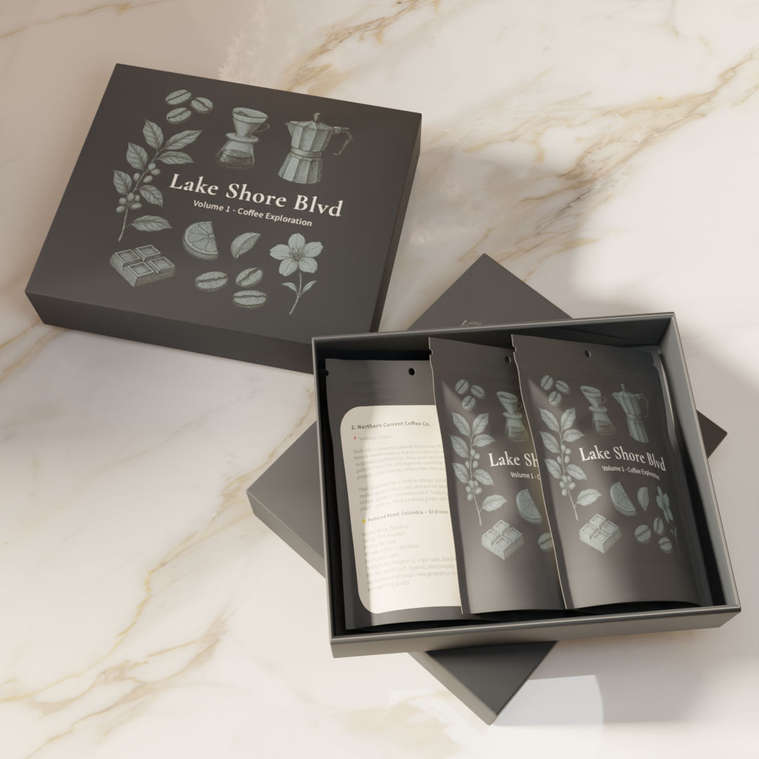 Lake Shore Blvd. Coffee Tasters / Vol. 1 - Coffee Exploration - 3 Pouch Box Set